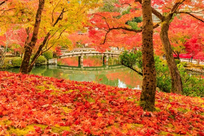 カウントダウン