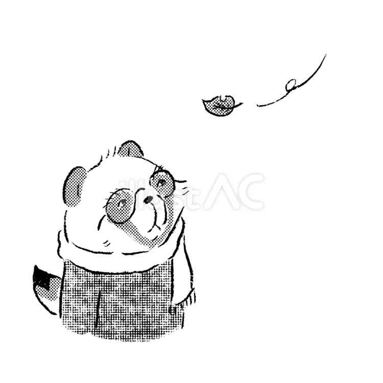 昨日の雨が、秋を本格的に連れてきた🍂