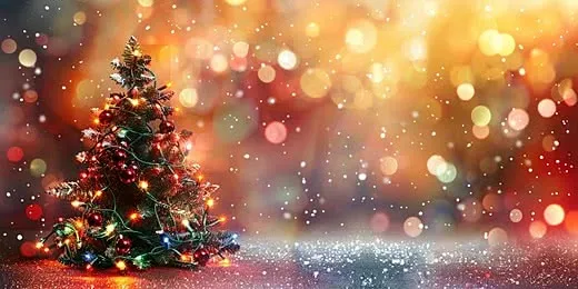 クリスマスはどのように過ごしますか？