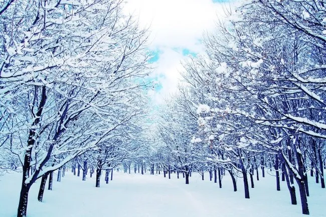 佐賀県初雪観測⛄️